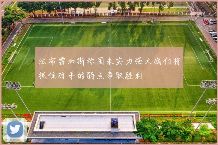 法布雷加斯称国米实力强大我们将抓住对手的弱点争取胜利